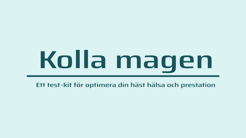 Kolla Magen